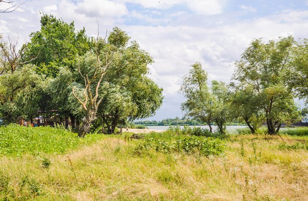 Вид на реку Дон в районе станицы Старочеркасской Ростовской области
