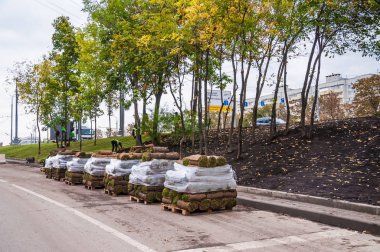 Rusya. Moskova. 10 Eylül 2015: sokakları geliştirilmesi. Çimenler Varşova karayolu üzerinde haddeleme ile yol kenarında peyzaj