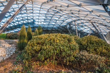 Moskova'da Zaryadye parkta amfitiyatro cam kubbe altında. Kışın sıcak iklim tutacak dünyanın en büyük şeffaf yapısı. Orman gülleri ve diğer herdem yeşil bitkiler. 