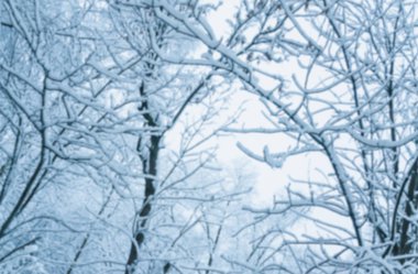 Arka plan bulanık. Şehrin ağaçlarda kar kaplı. Görünümü fro