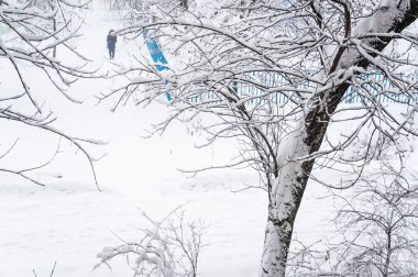 Moskova'da kış. Şehrin ağaçlarda kar kaplı. Yoğun kar yağışı sırasında penceresinden görünümü