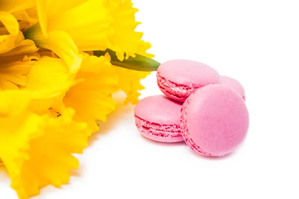 Colorful traditional french dessert macarons and yellow daffodil — Stock Photo, Image