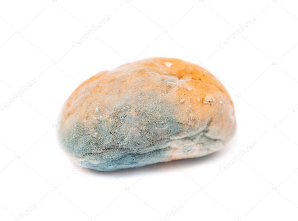 Moldy inedible spoiled food. Mold on bread
