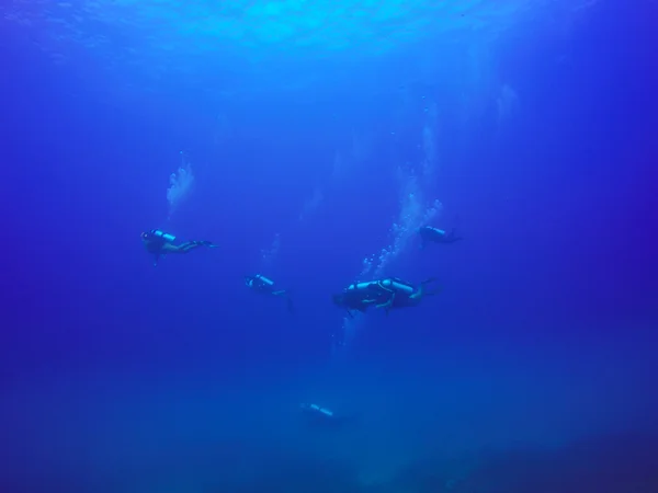 Mergulhadores nadando sobre o recife de coral vivo cheio de peixes e anêmonas marinhas . — Fotografia de Stock