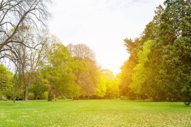 Kamu parki yeşil çim sahası, yeşil ağaç bitki ve parçalı bulutlu bir mavi gökyüzü ile sahnede güzel park