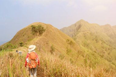 Dağlarda trekking sopa yüksek tutarak sırt çantası ile hiking kadınlar yaz aylarında ağacıyla kaplı. Kısa bir mola sırasında manzara gözlem