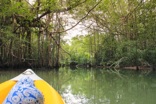 Vrouw kajakken langs een prachtige tropische jungle rivier. Veel kopie ruimte boven en van achteren bekijken — Stockfoto