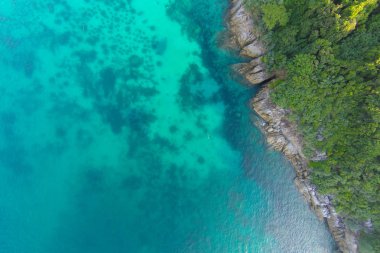 Tropikal plajı ile deniz ve uçak alınan palmiye. Seyşeller ünlü köpekbalığı beach - havadan fotoğraf - alttan yukarıya ittirmek yukarıya renk işleme.
