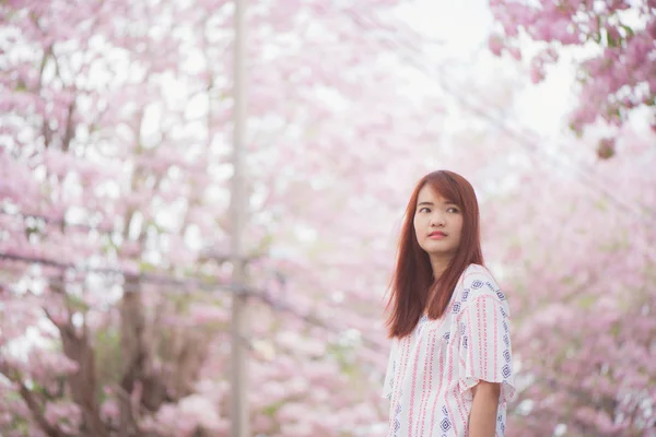 Femme heureuse voyageur se détendre sentir libre avec des fleurs de cerisier ou de sakura arbre à fleurs en vacances — Photo