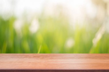 Ahşap Pano boş tablo önünde arka plan bulanık. Ormandaki - bulanıklık ağaçlar üzerinde perspektif kahverengi ahşap-ebilmek var olmak kullanılmış için görüntü alay ya da ürün montaj. bahar mevsimi. Filtre vintage.