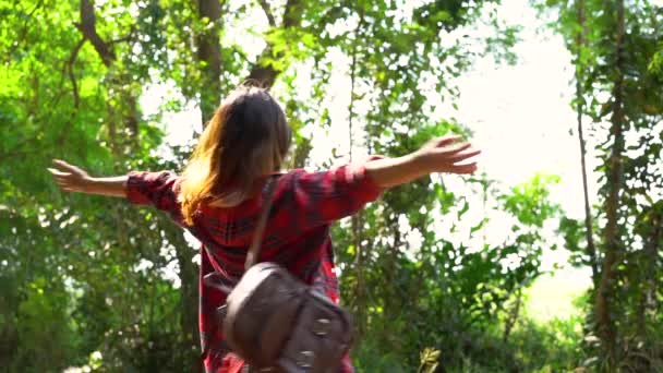 Slow Motion Happy Young Asian Woman Traveler Backpack Walking Forest — Stock Video