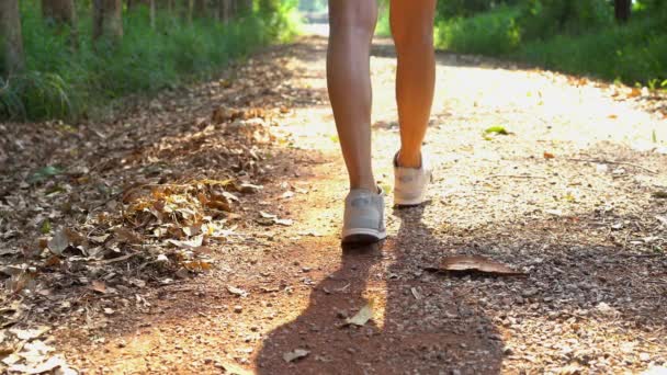 Feliz Joven Mujer Asiática Viajero Con Mochila Caminando Bosque Senderista — Vídeos de Stock