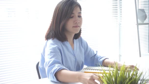 Movimento Lento Bela Jovem Mulher Sorrindo Trabalhando Laptop Enquanto Aprecia — Vídeo de Stock