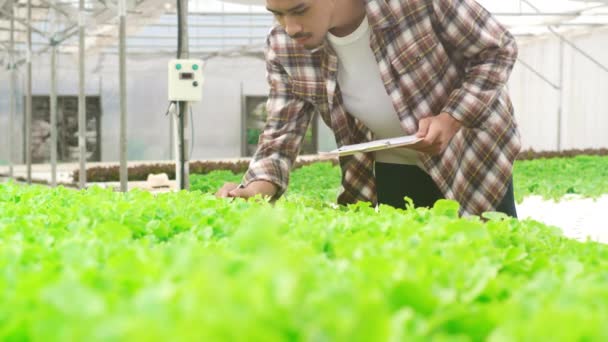 快乐而又有魅力的亚洲小伙农民在温室菜园中考察了水栽菜园绿树的研究质量 有机农业促进健康 马达加斯加食品概念 — 图库视频影像