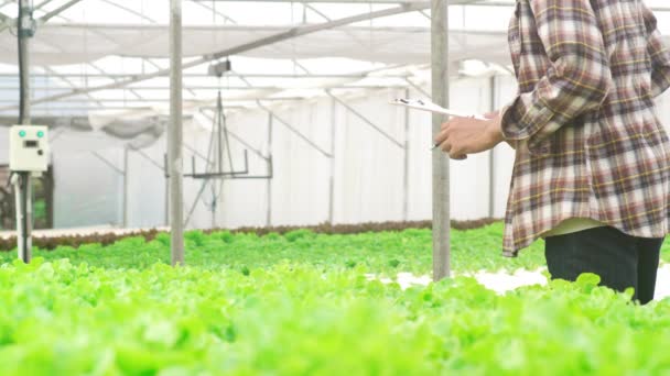 Jovem Agricultor Asiático Atraente Verificando Qualidade Pesquisa Carvalho Verde Fazenda — Vídeo de Stock