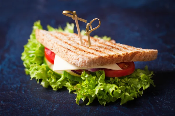 Panino vegetariano gustoso fatto in casa con verdure fresche e formaggio, primo piano, focus selettivo — Foto Stock