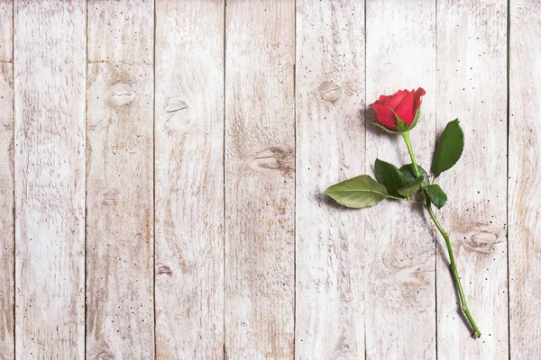 Prachtige rode roos met lint en harten op een houten achtergrond — Stockfoto