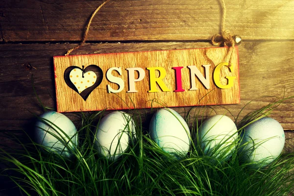 Velikonoční vajíčka na čerstvé zelené trávy na dřevěné pozadí s Sunny — Stock fotografie