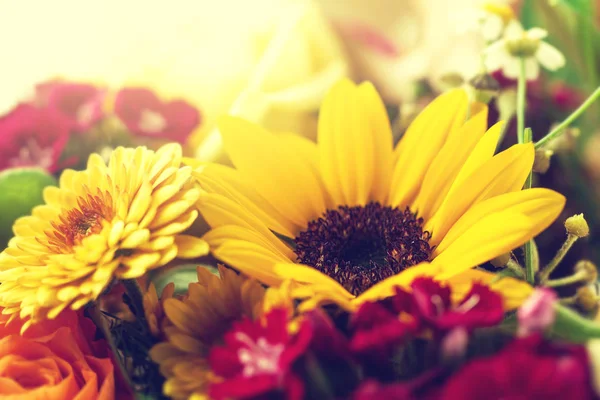 Крупним планом жовті та фіолетові красиві квіти з чорним тлом — стокове фото