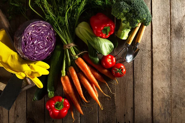 Food Vegetable Colorful Background. Tasty Fresh Vegetables — Stock Photo, Image