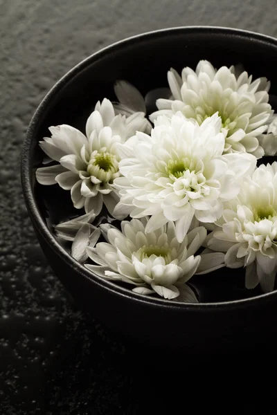 Spa Relax Concept. Beautiful White Spa Flowers in Bowl in Water. Dark Background.