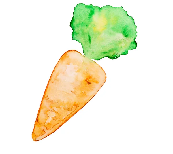 Beautiful hand drawn tasty carrot with leaves. Watercolor. Food concept.