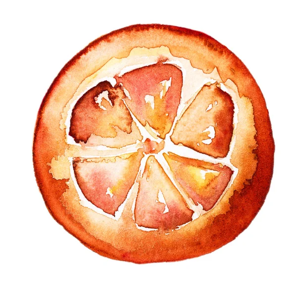 Čerstvé chutné plátky oranžové ručně tažené akvarel ilustrace. — Stock fotografie