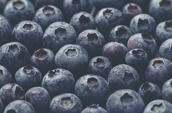 Macro Closeup of Fresh Tasty Blueberry Berry. Summer Food. Food — Stock Photo, Image