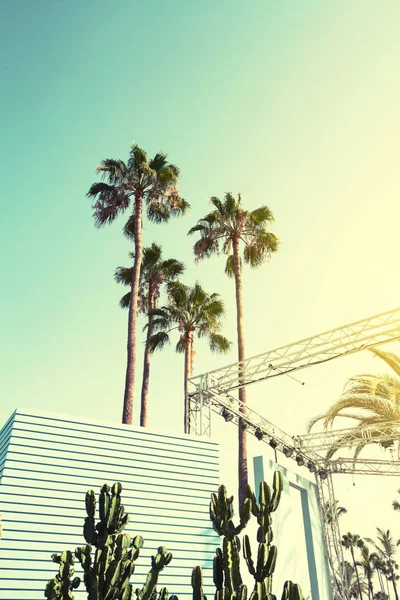 Vacaciones de verano Viajes Concepto Urbano. Hermosas palmeras en urbano — Foto de Stock