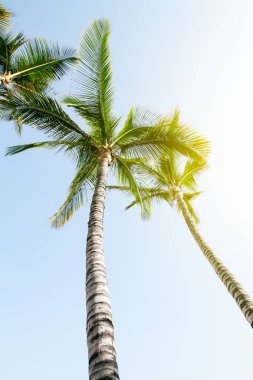 Yaz seyahat etmek tatil kavramı. Mavi gökyüzü güzel avucunda 