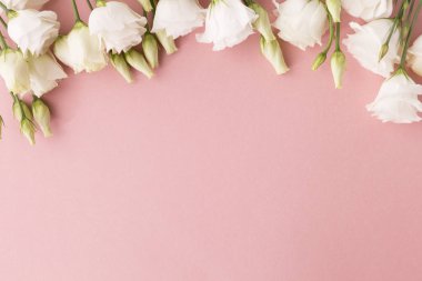 White roses on pink background
