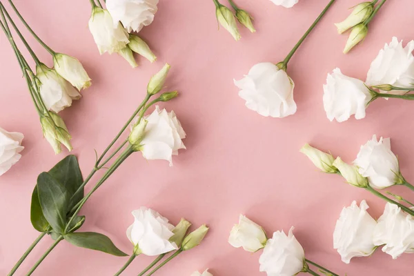 Białe róże i różowej wstążki — Zdjęcie stockowe