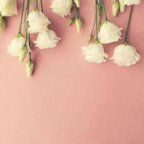 From above white roses frame — Stock Photo, Image