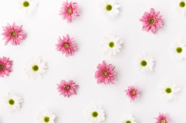 Soyut beyaz ve pembe çiçekler