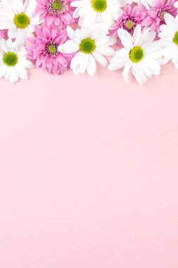Küçük farklı renkli çiçekler yukarıda yumuşak pembe bir arka plan üzerinde.