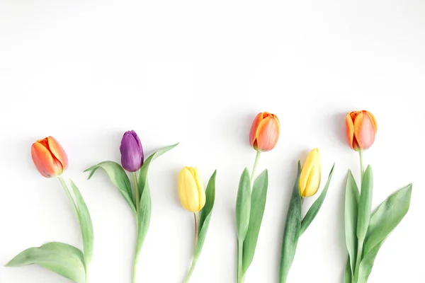 Different colorful tulips on white table — Stock Photo, Image