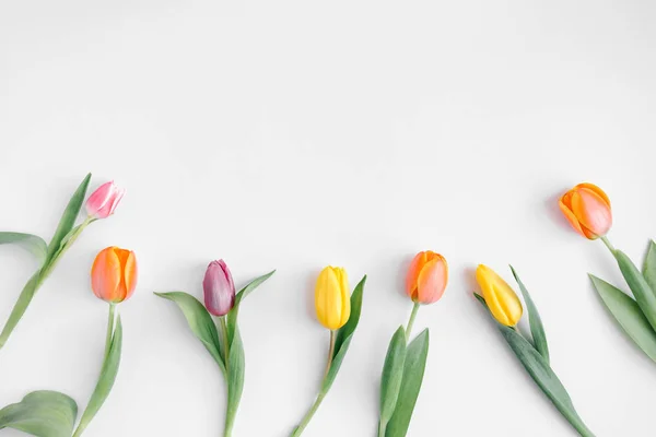 Różne kolorowe tulipany na biały stół — Zdjęcie stockowe
