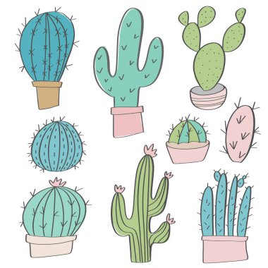 kaktüs succulents elle çizilmiş karalamalar vektör