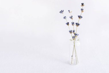 Lavanta çiçekleri bouguet