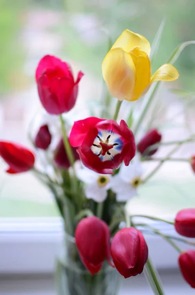 Букет тюльпанов у окна — стоковое фото
