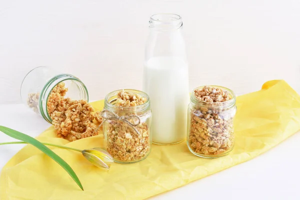 Granola integral con leche — Foto de Stock