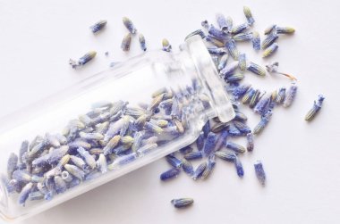 Lavanta çiçekleri cam