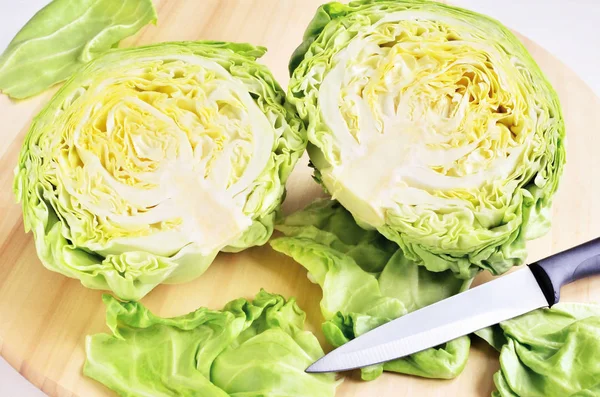 Young head of cabbage — Stock Photo, Image