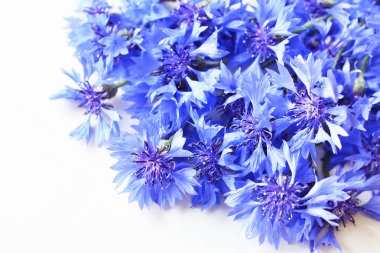 Beyaz üzerinde mavi Peygamber