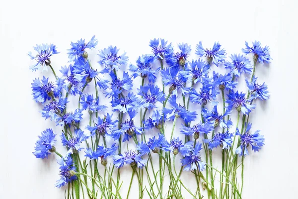 Beyaz üzerinde mavi Peygamber