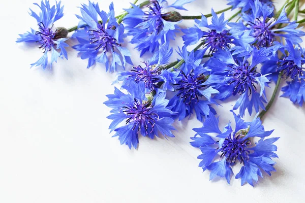 Beyaz üzerinde mavi Peygamber