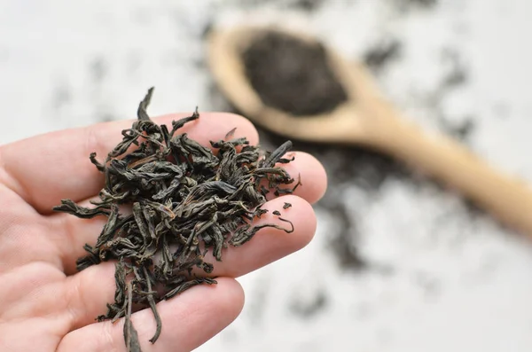 siyah çay yaprakları tutan el