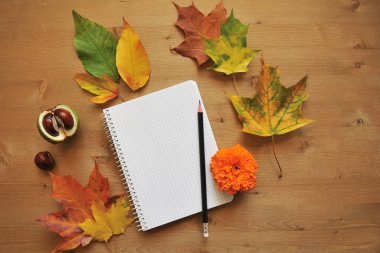 sonbahar kompozisyon arka plan