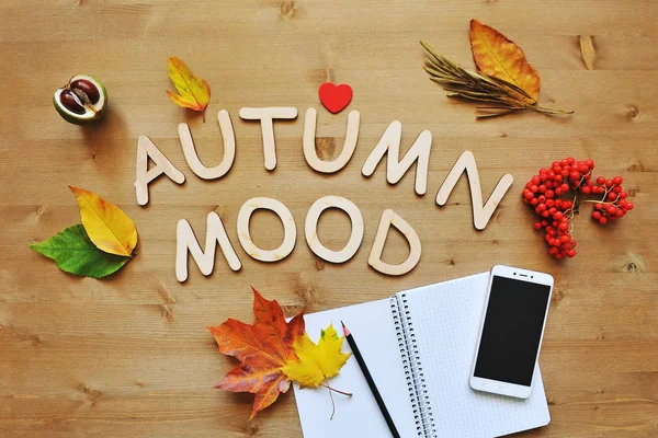 autumn composition background