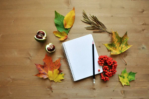 autumn composition background